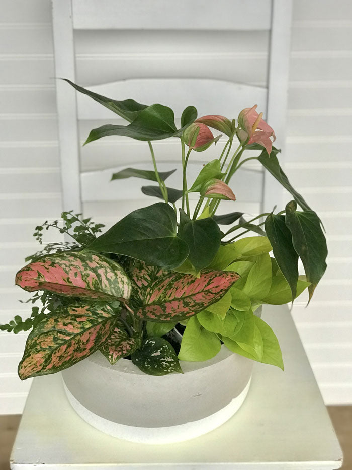 Pink and Green Tropical Planter