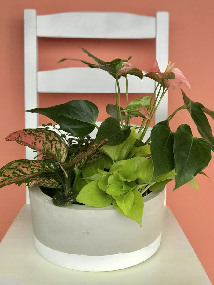 Pink and Green Tropical Planter