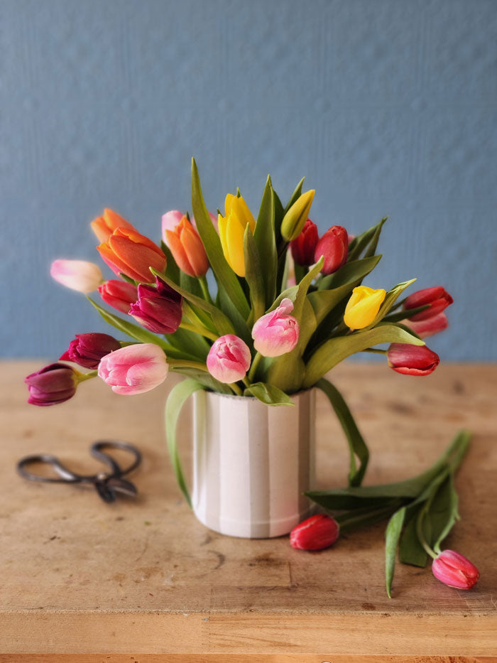 Sweetheart Tulips