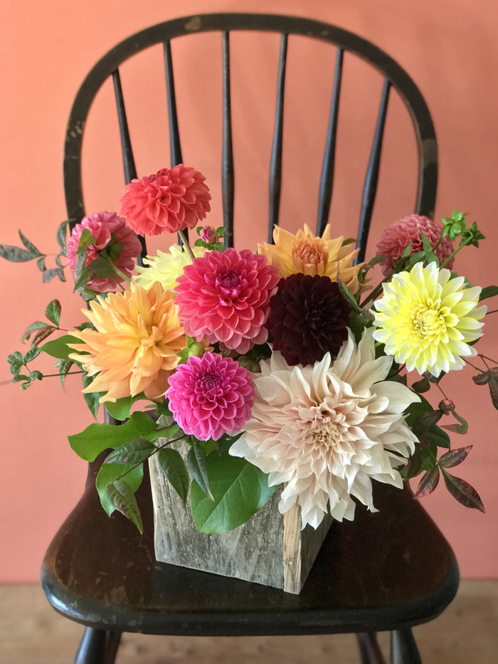 wood box of colorful assorted dahlias on a black chair