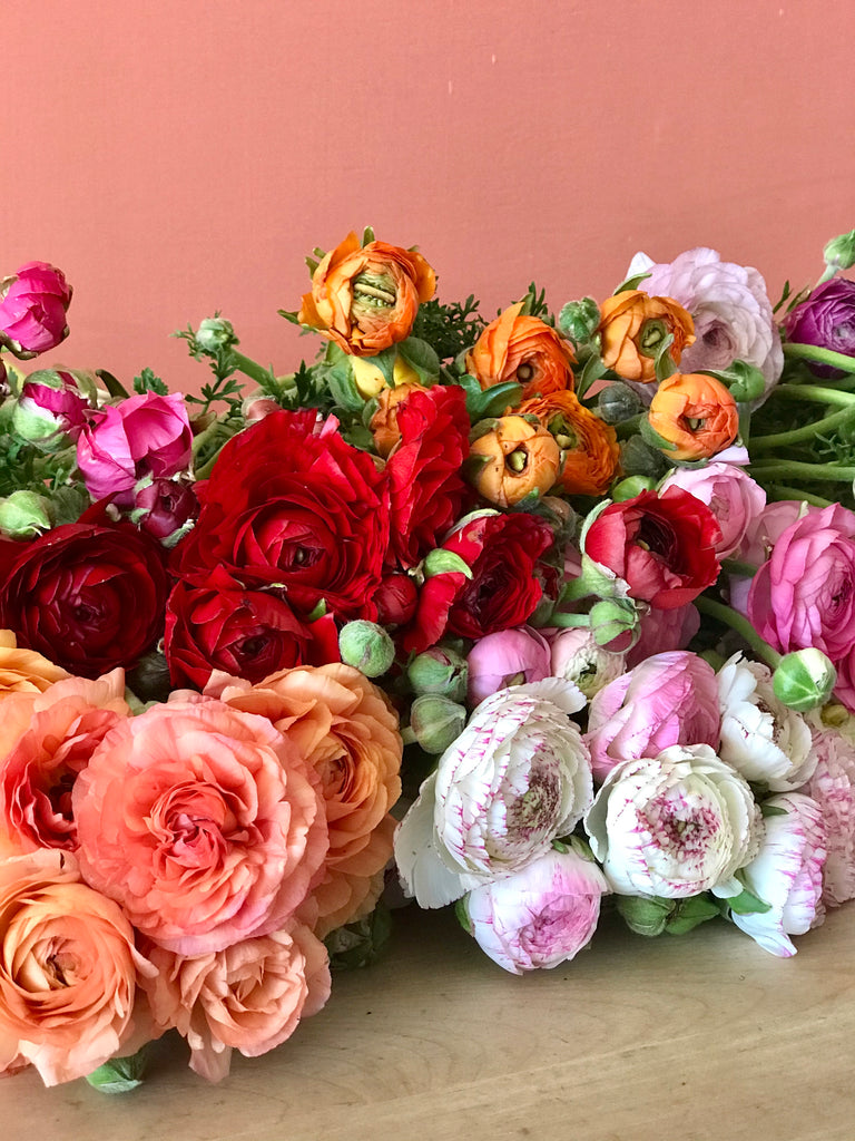 Bunches of Ranunculus flowers